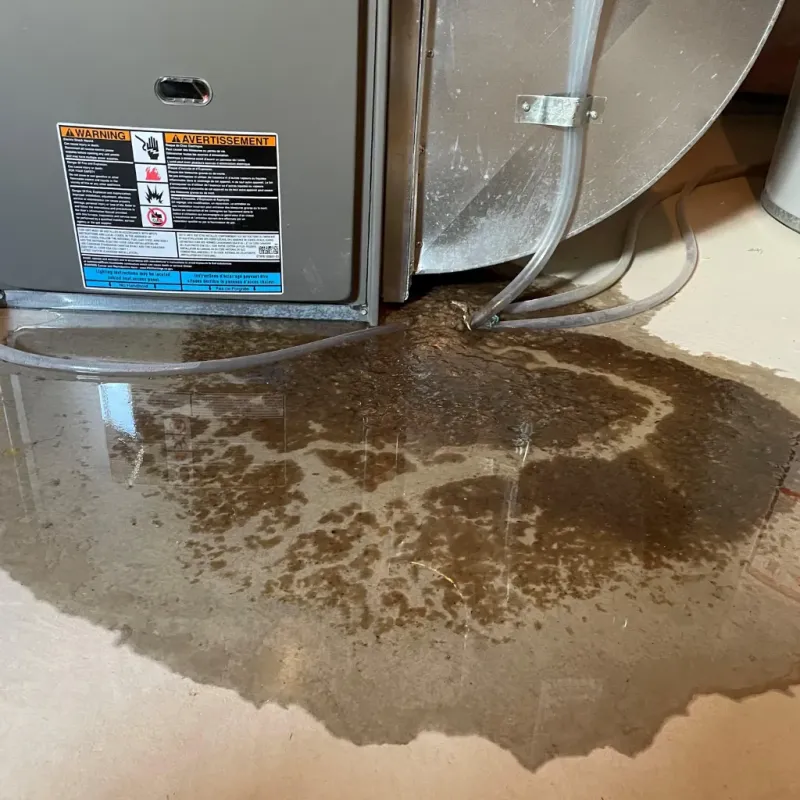 Appliance Leak Cleanup in Wyoming County, WV